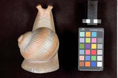 Foto einer Buchstütze in Schneckenform (NHMW-ZOO-MO-0081100-ETH-041)